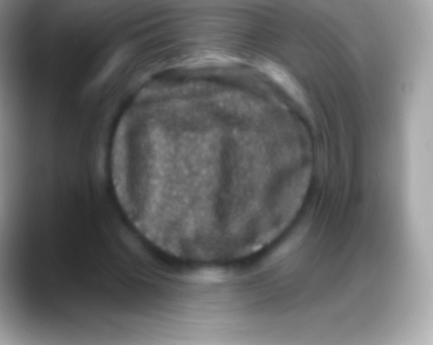 X0000088140441200706041340