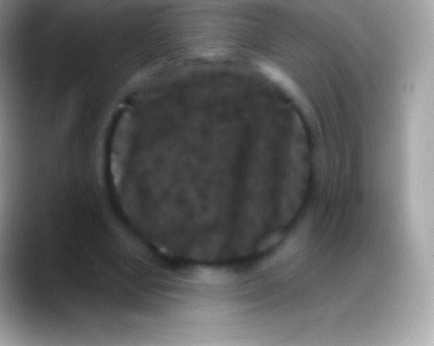 X0000088140442200706041340