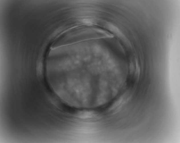 X0000088140444200706041340