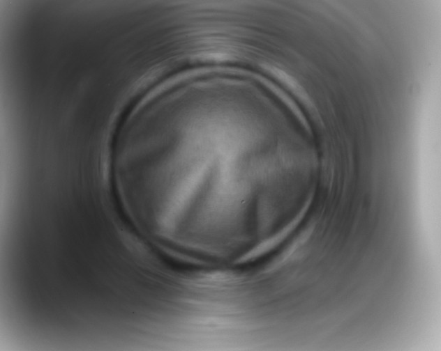 X0000088140446200706041340