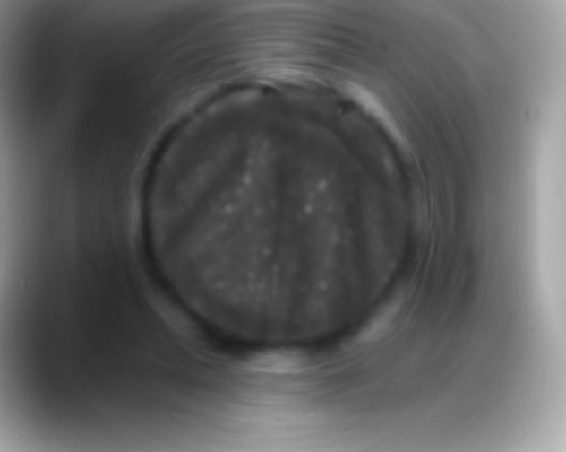 X0000088140447200706041340