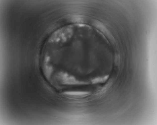 X0000088140449200706041340