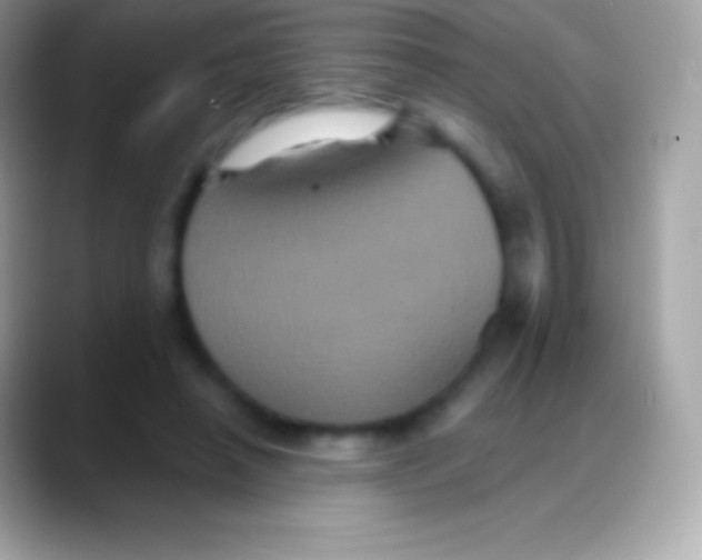 X0000088140450200706041340