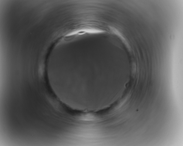 X0000088140451200706041340