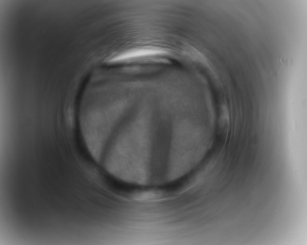 X0000088140452200706041340