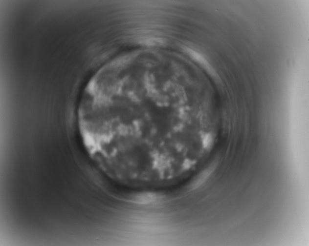 X0000088140453200706041340