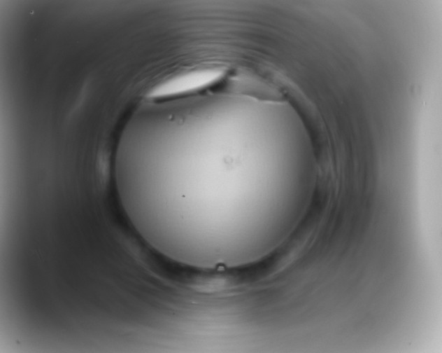 X0000088140454200706041340