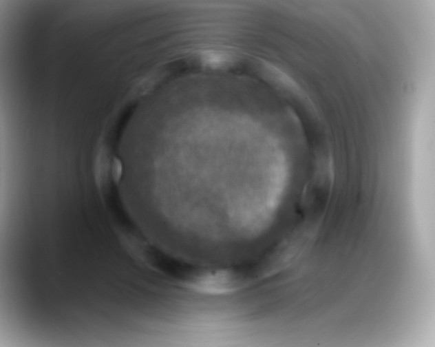 X0000088140456200706041340