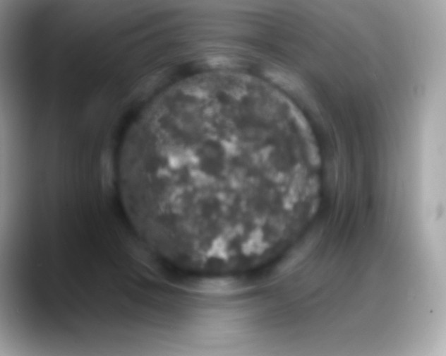 X0000088140457200706041340