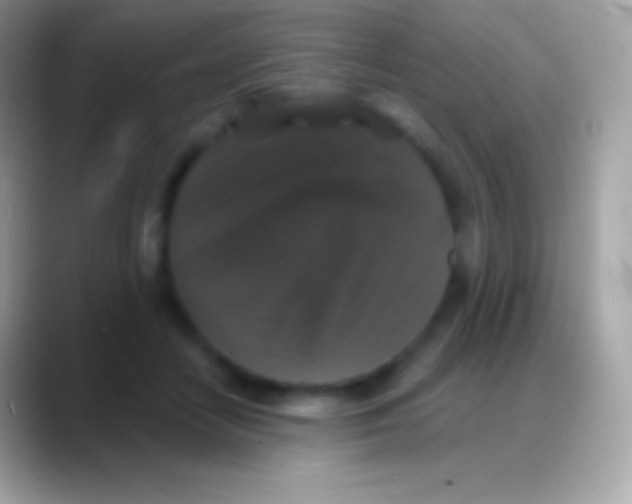 X0000088140458200706041340