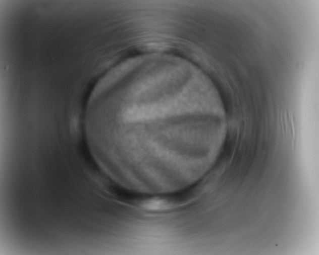 X0000088140460200706041340