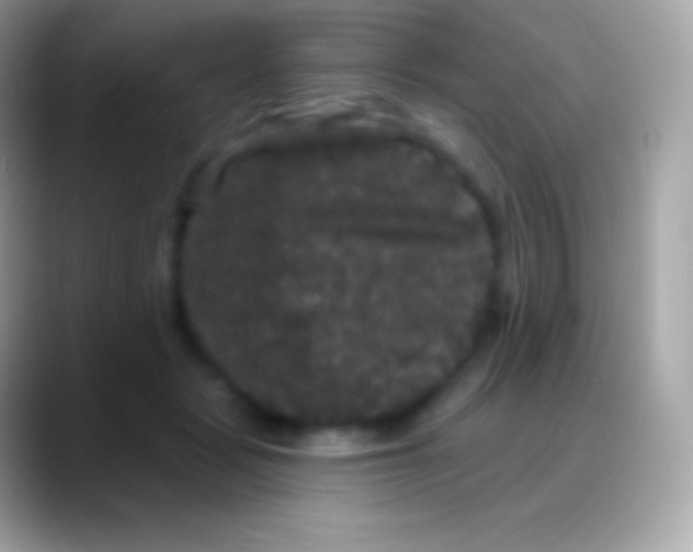 X0000088140461200706041340