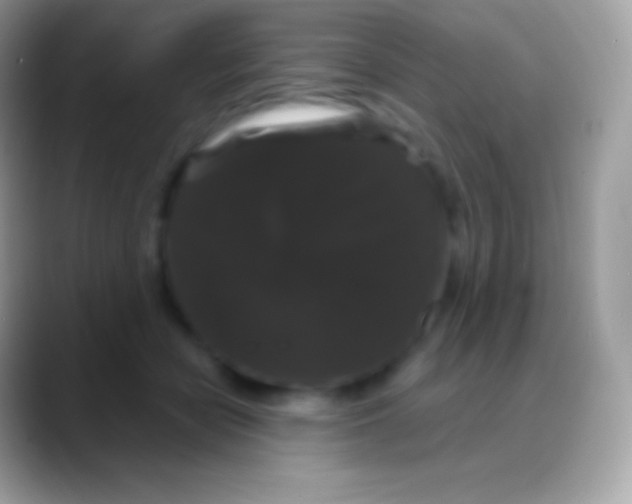 X0000088140462200706041340