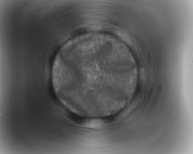 X0000088140463200706041340