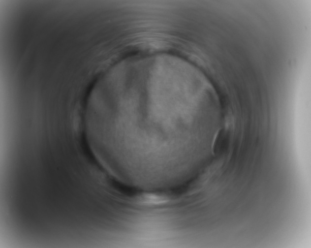 X0000088140464200706041340