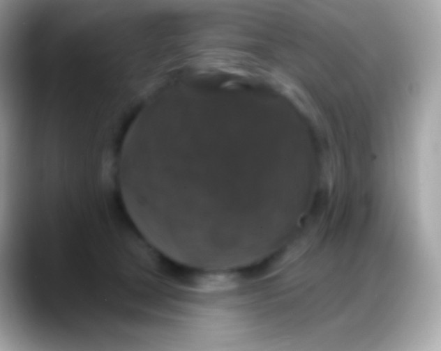 X0000088140465200706041340