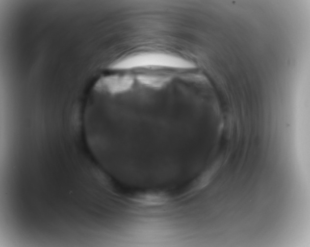 X0000088140466200706041340