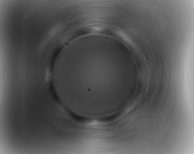 X0000088140467200706041340