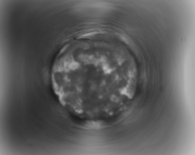 X0000088140469200706041340