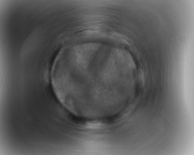 X0000088140470200706041340