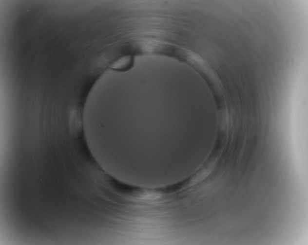 X0000088140471200706041340