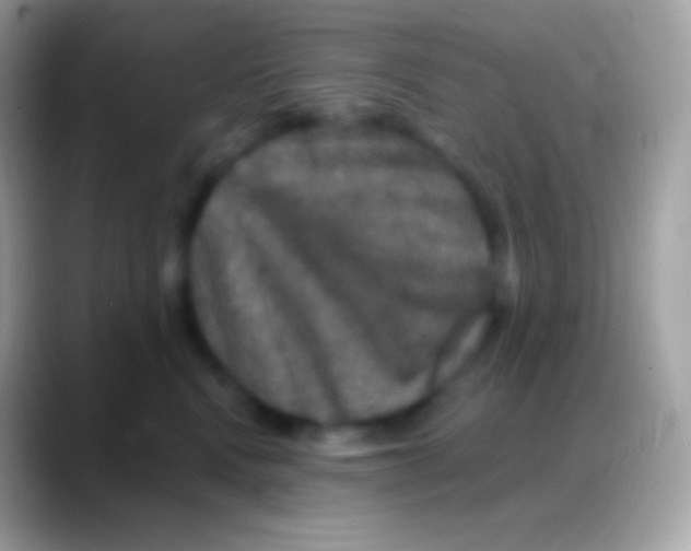 X0000088140472200706041340