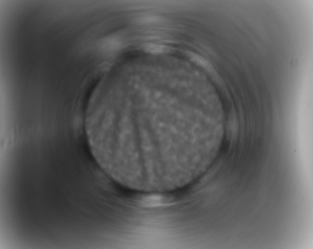 X0000088140473200706041340