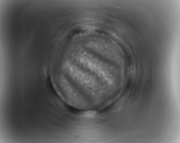 X0000088140474200706041340