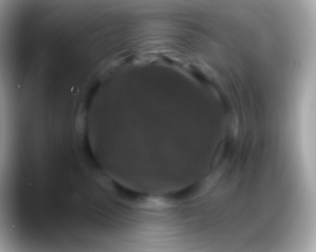 X0000088140475200706041340