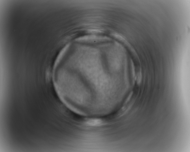 X0000088140476200706041340