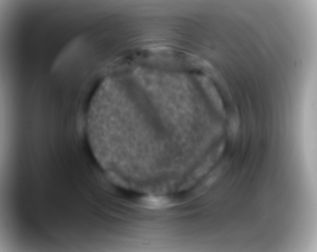 X0000088140477200706041340