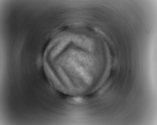 X0000088140478200706041340