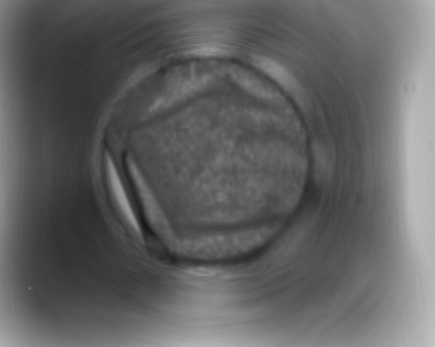 X0000088140482200706041340