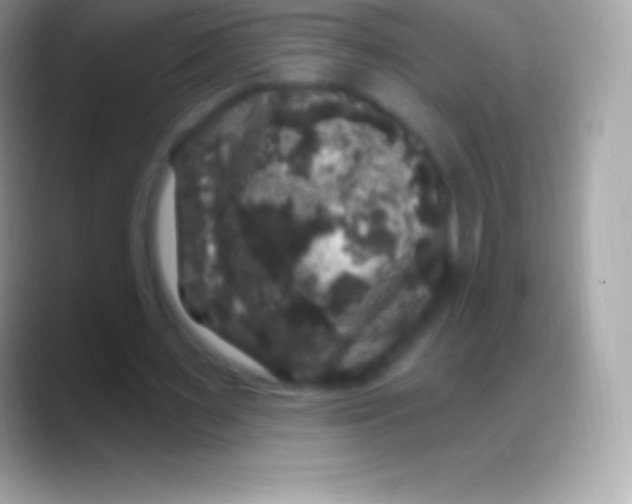 X0000088140483200706041340