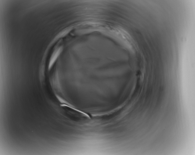 X0000088140484200706041340