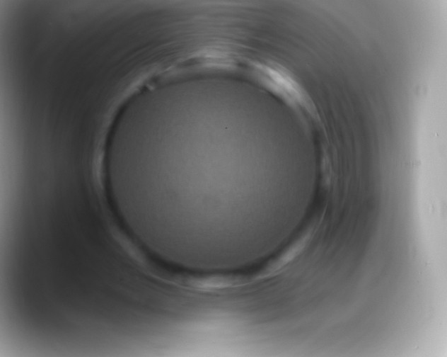 X0000088140485200706041340