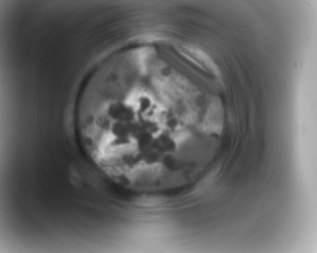 X0000088140487200706041339