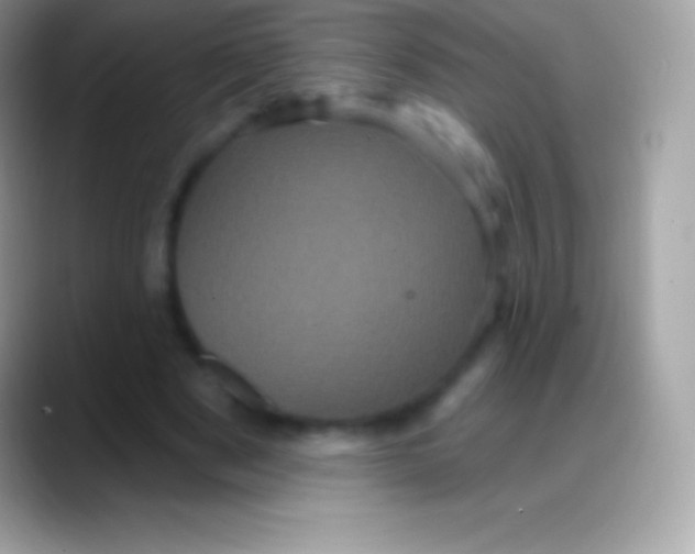 X0000088140489200706041339