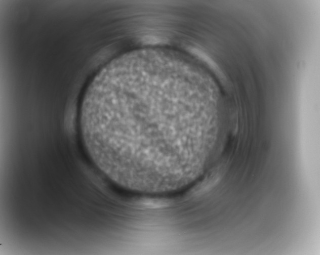 X0000088140490200706041339