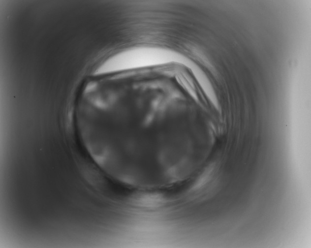 X0000088140491200706041339