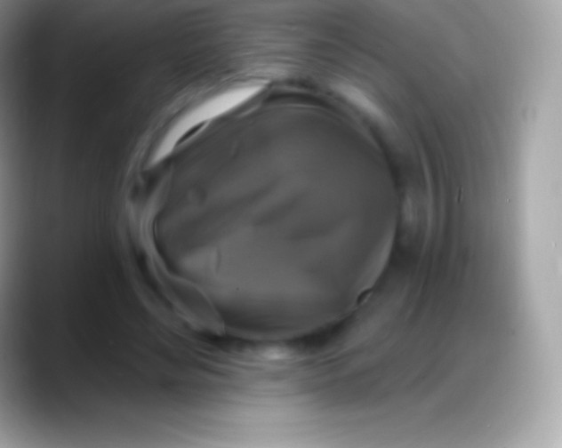 X0000088140492200706041339