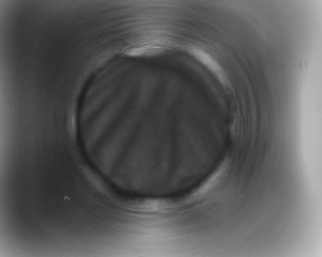 X0000088140493200706041339