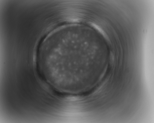 X0000088140494200706041339