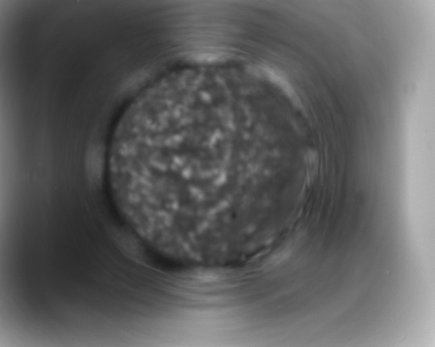 X0000088140495200706041339