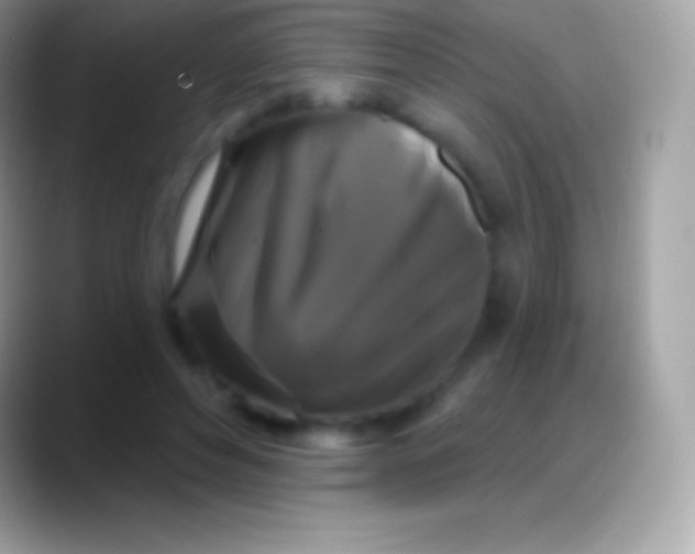 X0000088140496200706041339