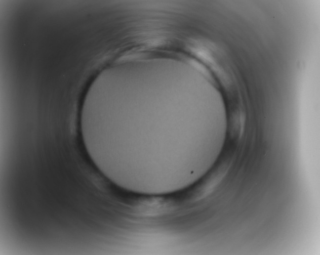 X0000088140497200706041339