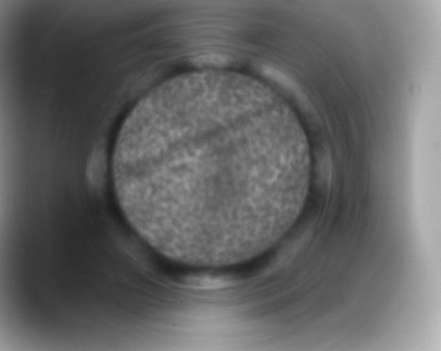 X0000088140498200706041339