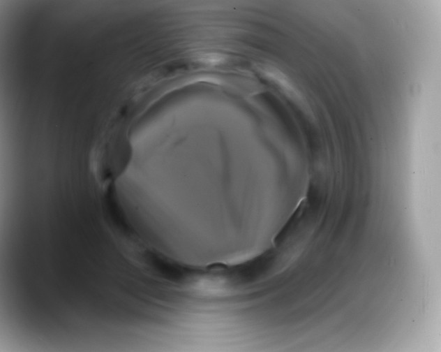 X0000088140500200706041339