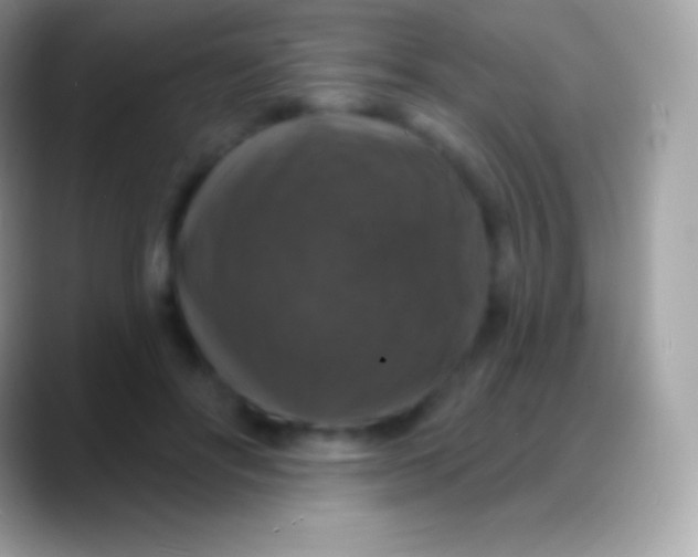 X0000088140502200706041339