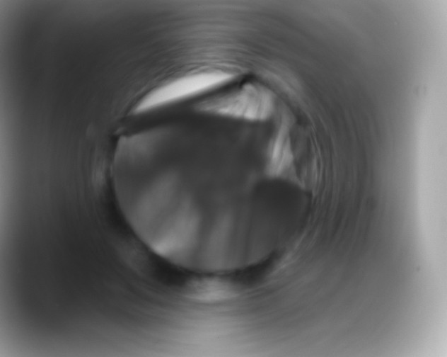 X0000088140503200706041339